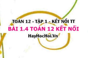 Bài 1.4 Toán 12 tập 1 SGK Kết nối tri thức